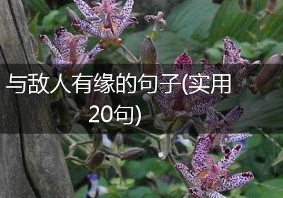 与敌人有缘的句子(实用20句)