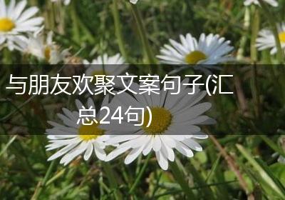 与朋友欢聚文案句子(汇总24句)