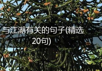 与江湖有关的句子(精选20句)