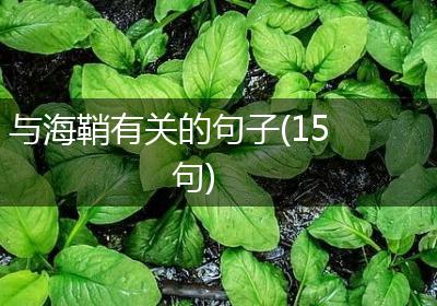 与海鞘有关的句子(15句)