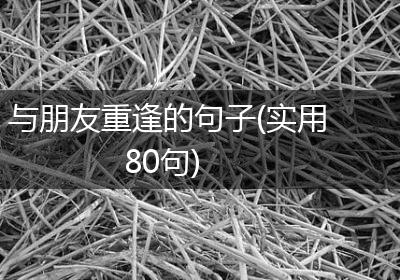 与朋友重逢的句子(实用80句)