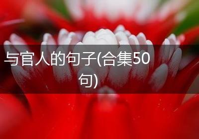 与官人的句子(合集50句)