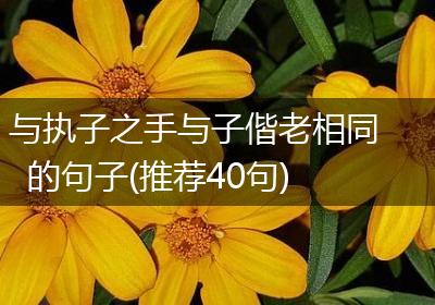 与执子之手与子偕老相同的句子(推荐40句)