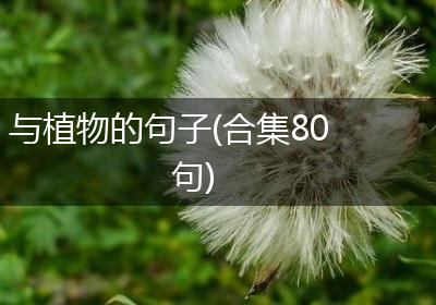 与植物的句子(合集80句)