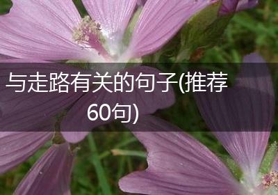 与走路有关的句子(推荐60句)