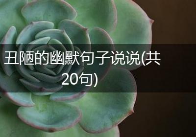 丑陋的幽默句子说说(共20句)