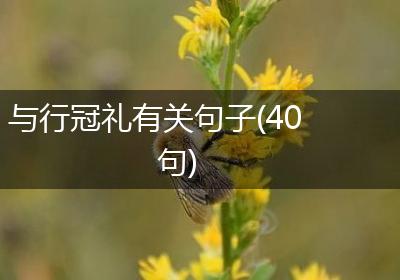 与行冠礼有关句子(40句)