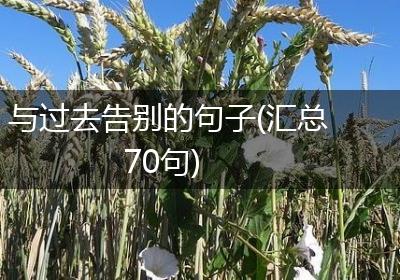 与过去告别的句子(汇总70句)