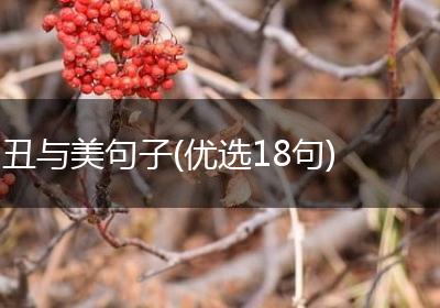 丑与美句子(优选18句)
