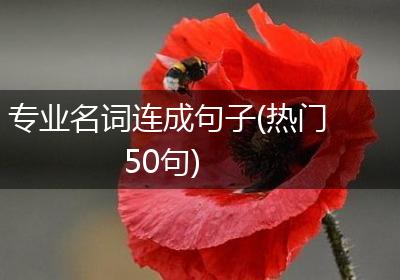 专业名词连成句子(热门50句)