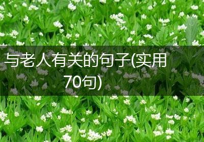 与老人有关的句子(实用70句)