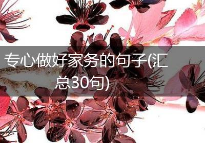专心做好家务的句子(汇总30句)