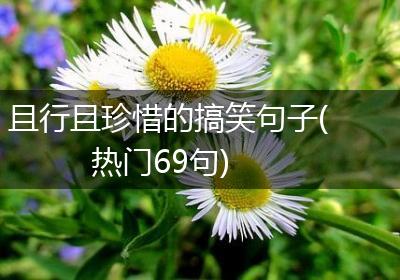且行且珍惜的搞笑句子(热门69句)