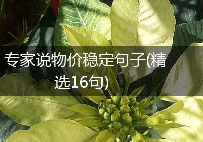 专家说物价稳定句子(精选16句)