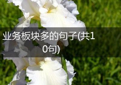 业务板块多的句子(共10句)