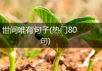 世间唯有句子(热门80句)