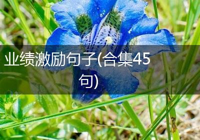 业绩激励句子(合集45句)