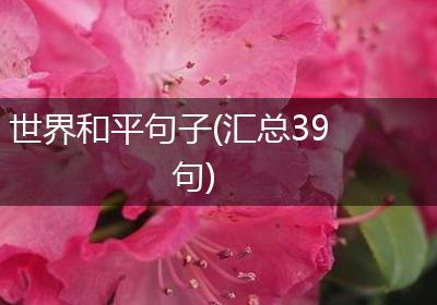 世界和平句子(汇总39句)
