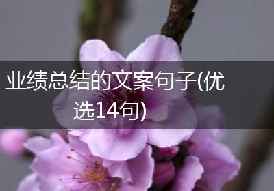 业绩总结的文案句子(优选14句)