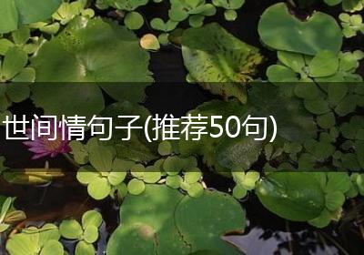 世间情句子(推荐50句)