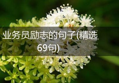 业务员励志的句子(精选69句)