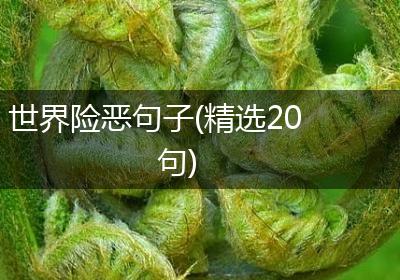 世界险恶句子(精选20句)