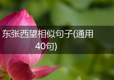 东张西望相似句子(通用40句)