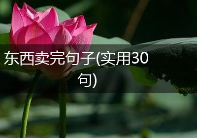 东西卖完句子(实用30句)