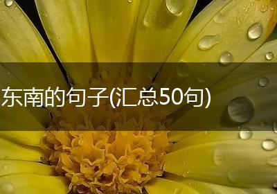 东南的句子(汇总50句)