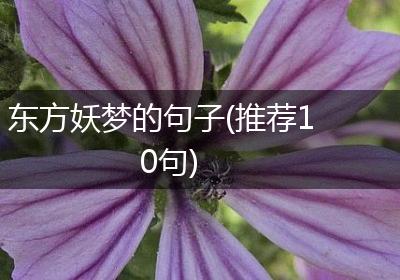 东方妖梦的句子(推荐10句)