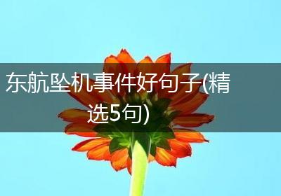 东航坠机事件好句子(精选5句)
