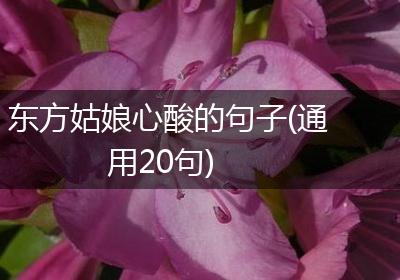 东方姑娘心酸的句子(通用20句)