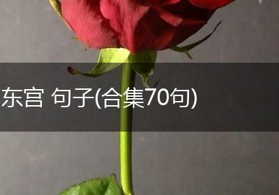 东宫 句子(合集70句)