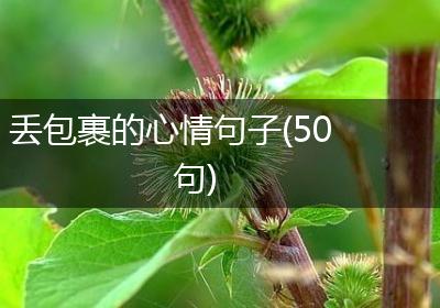 丢包裹的心情句子(50句)