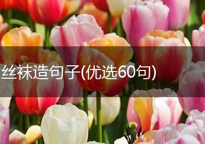 丝袜造句子(优选60句)