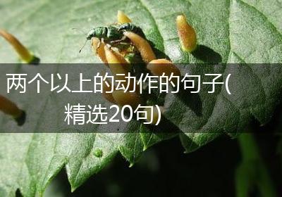 两个以上的动作的句子(精选20句)