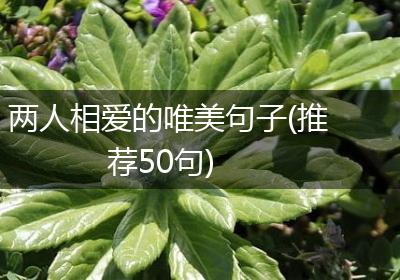 两人相爱的唯美句子(推荐50句)