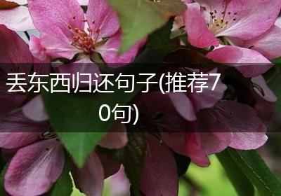 丢东西归还句子(推荐70句)