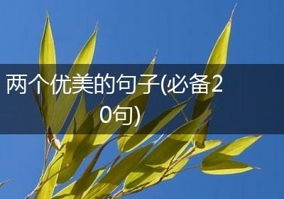 两个优美的句子(必备20句)