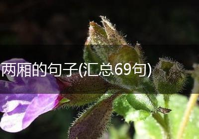 两厢的句子(汇总69句)