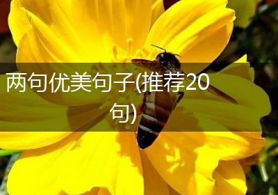 两句优美句子(推荐20句)