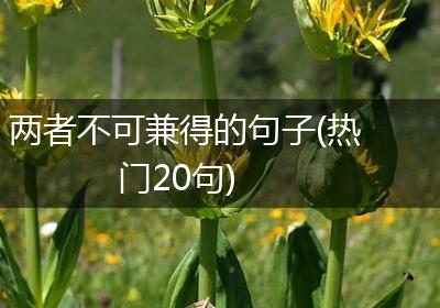 两者不可兼得的句子(热门20句)