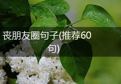 丧朋友圈句子(推荐60句)