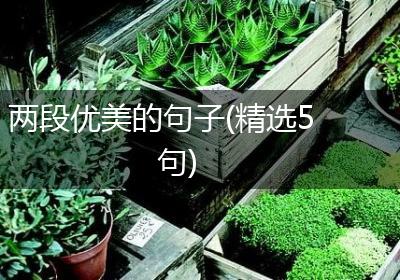 两段优美的句子(精选5句)