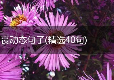丧动态句子(精选40句)