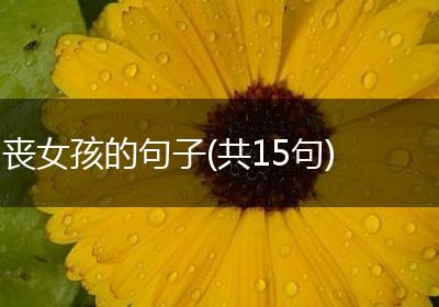 丧女孩的句子(共15句)