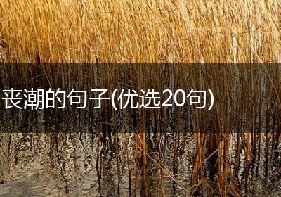 丧潮的句子(优选20句)