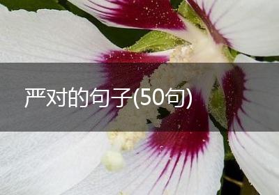 严对的句子(50句)