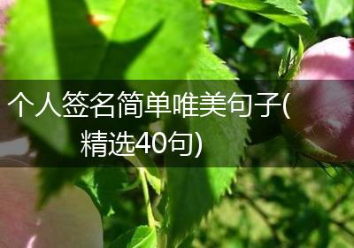 个人签名简单唯美句子(精选40句)