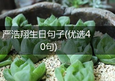 严浩翔生日句子(优选40句)